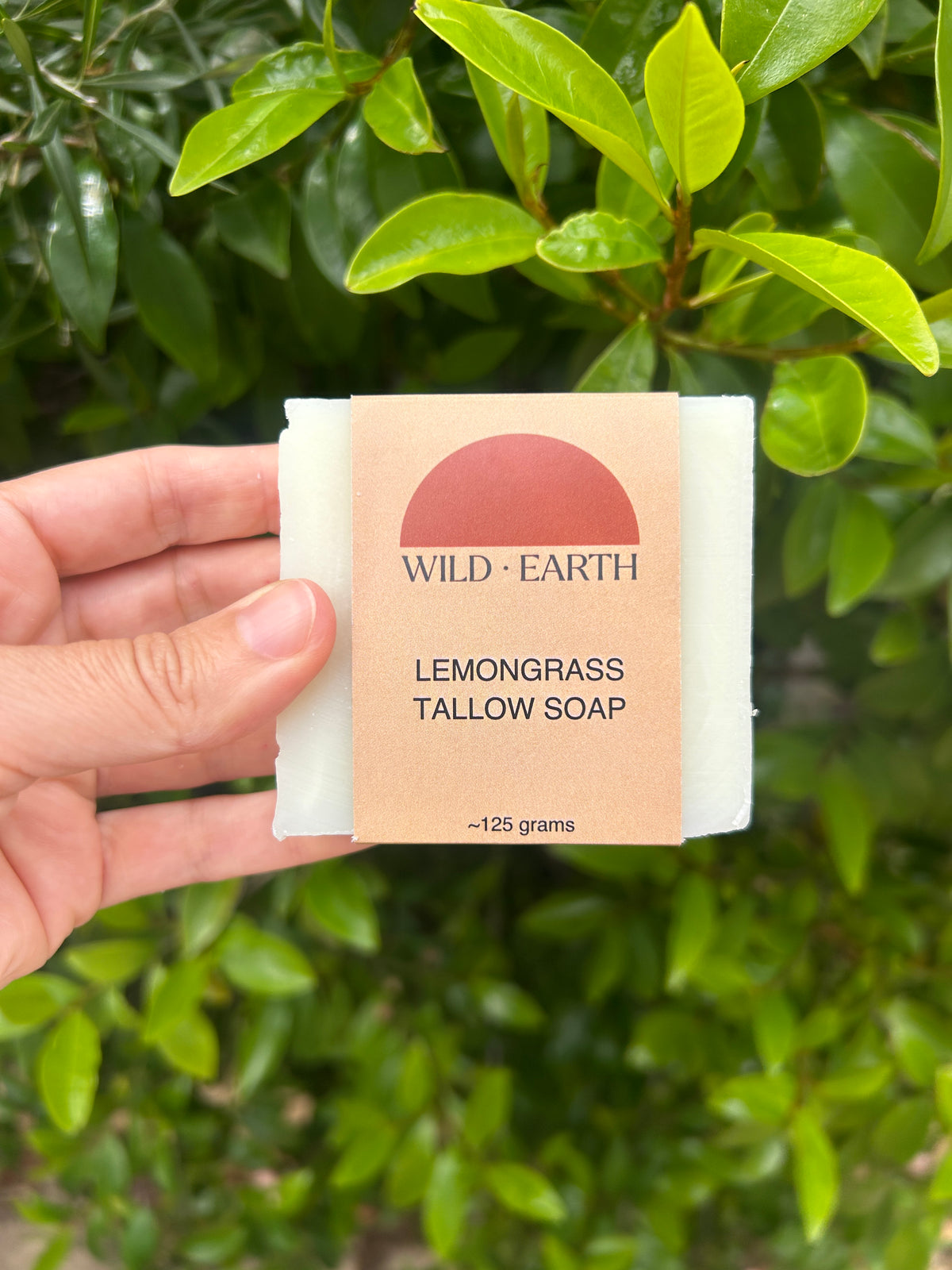 Lemongrass Tallow Soap